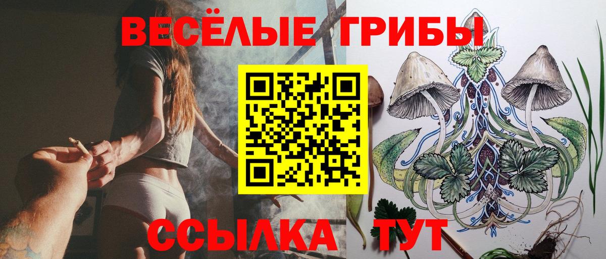 Галлюциногенные грибы прущие грибы Лангепас