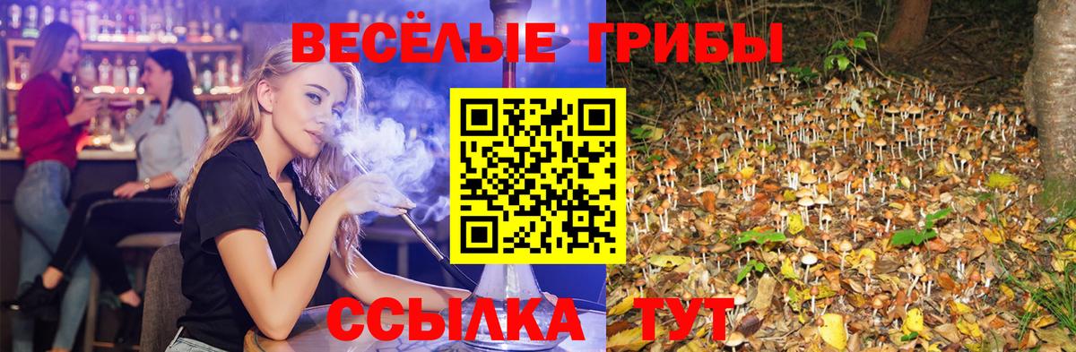 Псилоцибиновые грибы Psilocybe  Псилоцибиновые грибы мицелий  Лангепас  Вход с VPN 